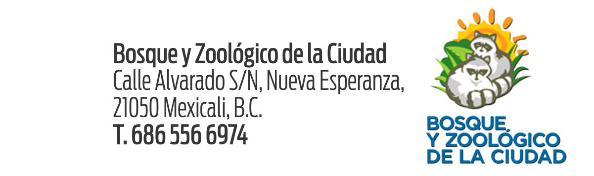 Bosque5