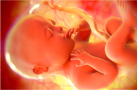 ¿Por qué mi bebé tiene poco líquido amniótico? – Dr. Henry Mateo