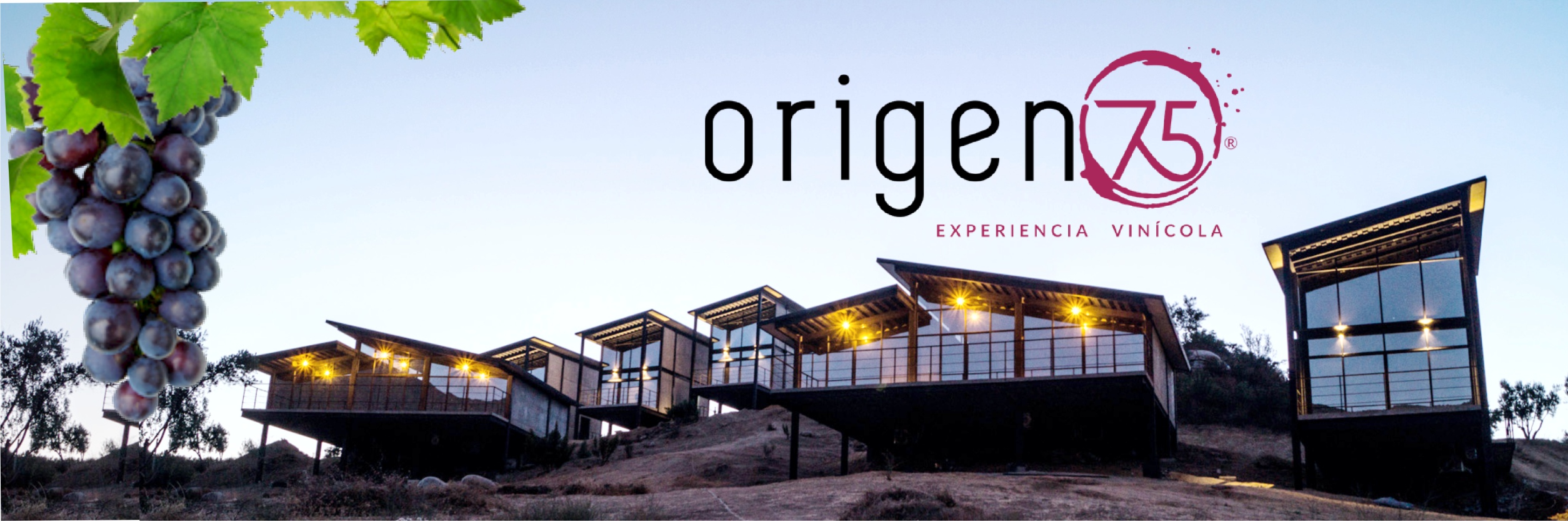 origen 75 1 Origen 75