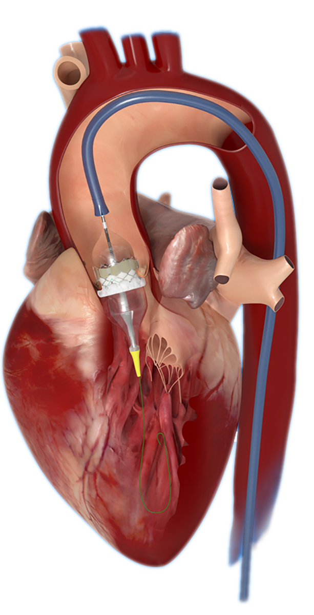 dr varela 1