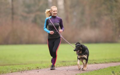 Practicando deporte con el perro: ¿Cuál es el mejor modo para ambos? – Tom Nebe (dpa)